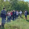 NaturFreunde Strausberg Exkursion Biesenhorster Sand
